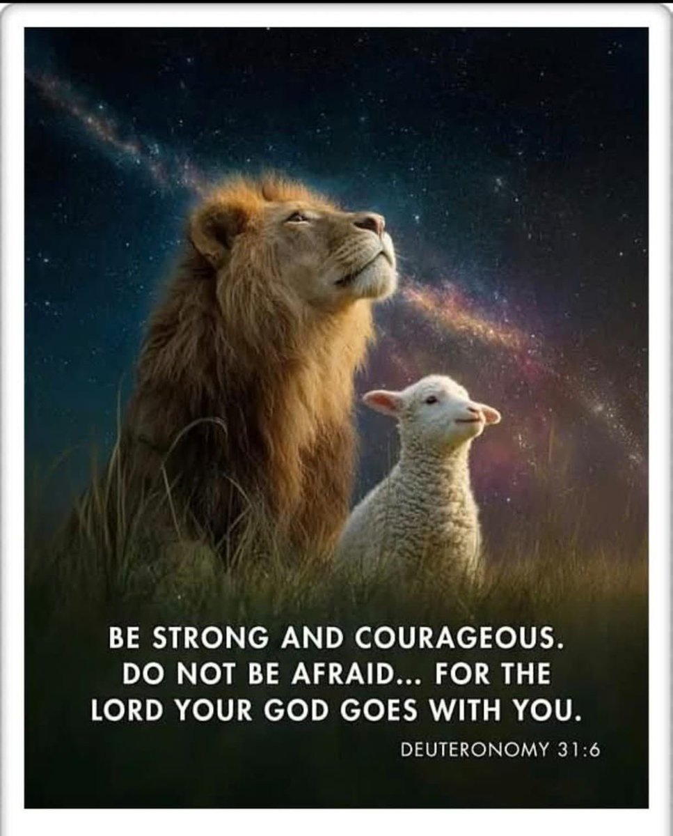 Deuteronomy 31:6
6 Be strong and courageous. Do not be afraid or terrified because of them, for the Lord your God goes with you; he will never leave you nor forsake you.”