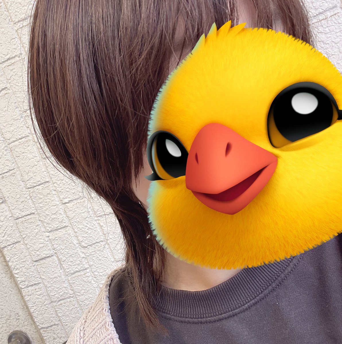 ちょいボーイッシュめクラゲウルフ
クラゲヘアのセットの楽さから逃げられなくなった