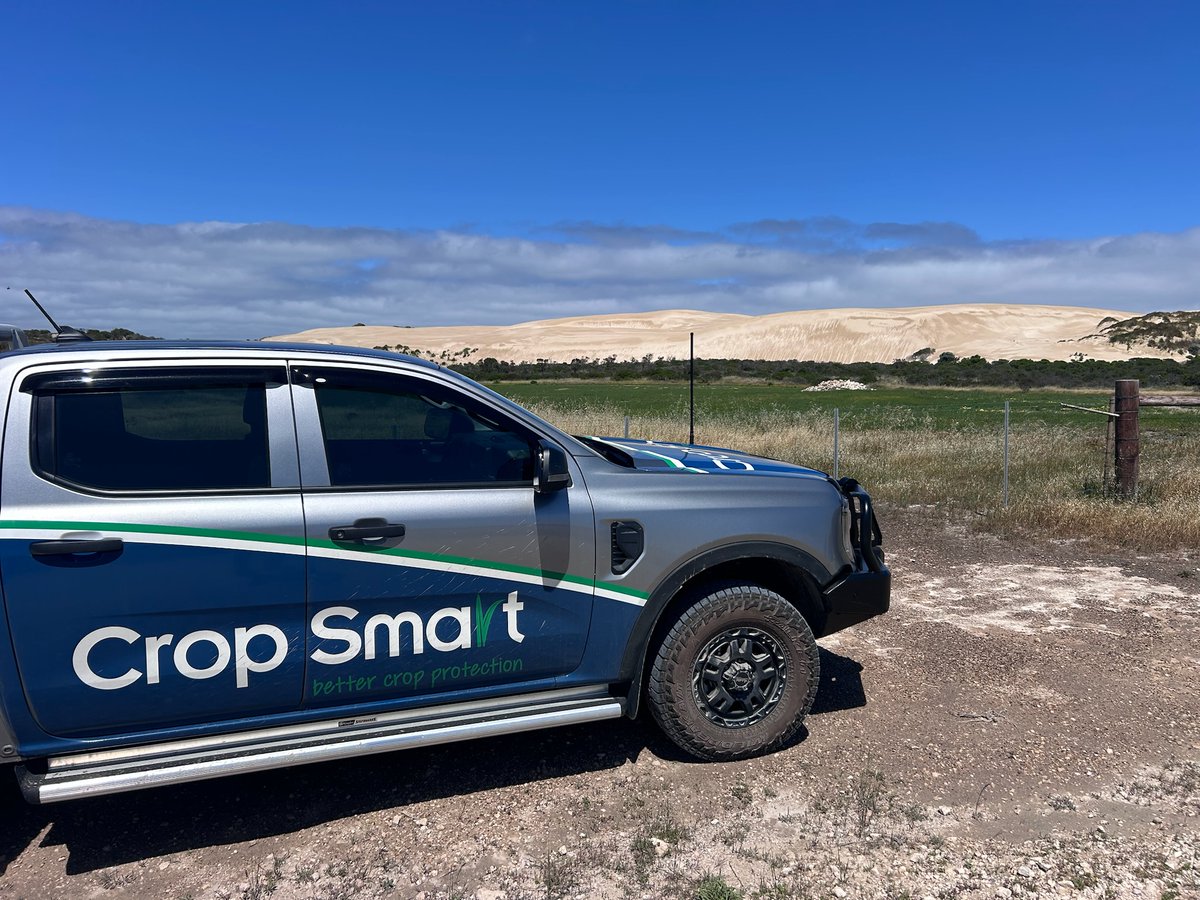 Lentils + Daly Head = Great combo, absolutely cracking view 🌱☀️