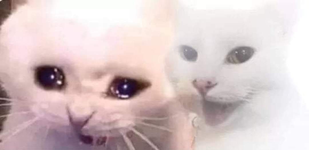 Así me siento cuando soy la única que shippea el Volokari en latam aunque por dentro estoy feliz porque no hay hate y nadie que me moleste yupiii