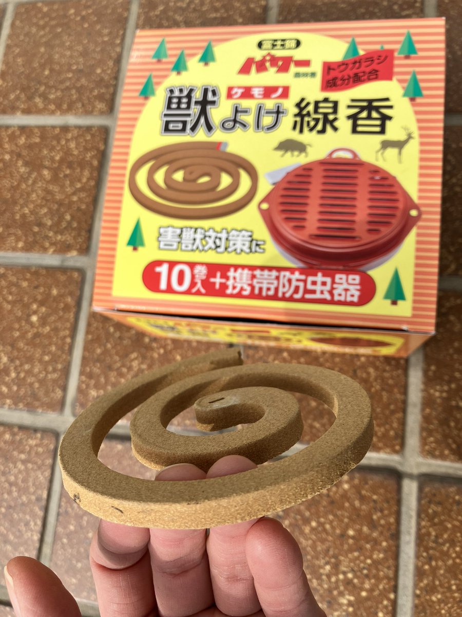 MAY (@hsatsuki0527) / Posts / X