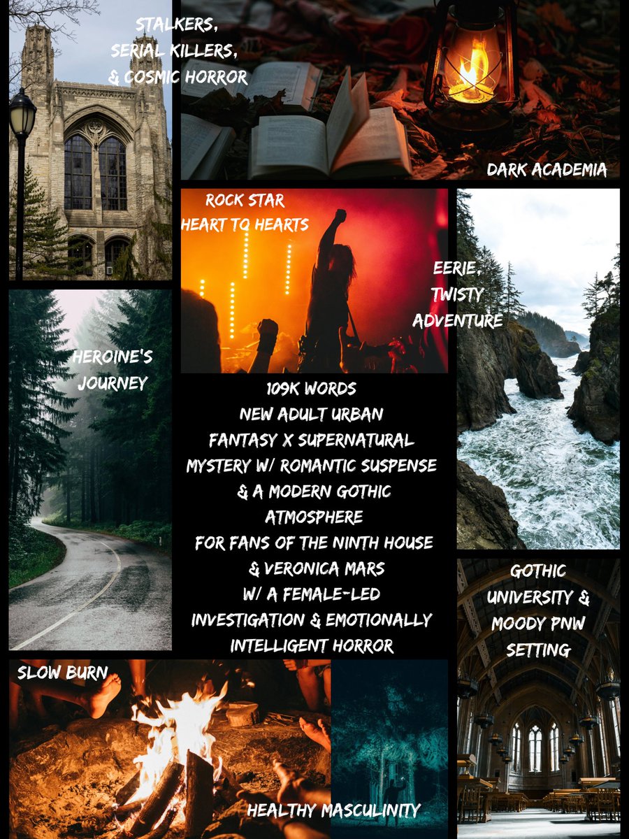 Torri Belle ✨is querying✨ a spec mystery🌲🌊👻 tweet media