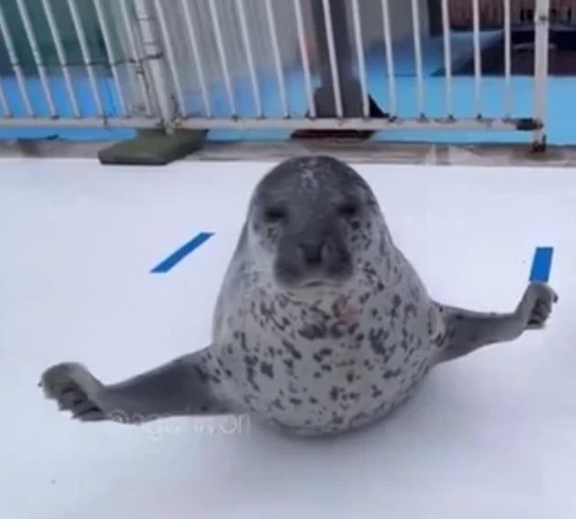 <a href="/caelusastra/">Celestica</a> if ur a real one.