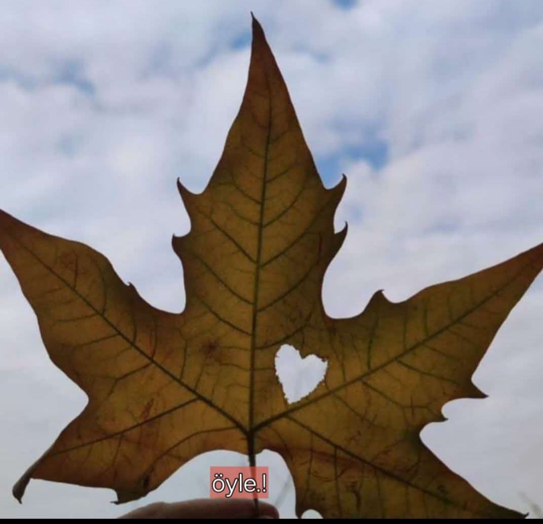 Dokunamadığın birini özlüyorsan ,
Özlediğin kalbine dokunmuştur çoktan..
                ~Özdemir Asaf~

Aynı kalmıyoruz hiç birimiz ya dışımız eskiyor ya içimiz ...