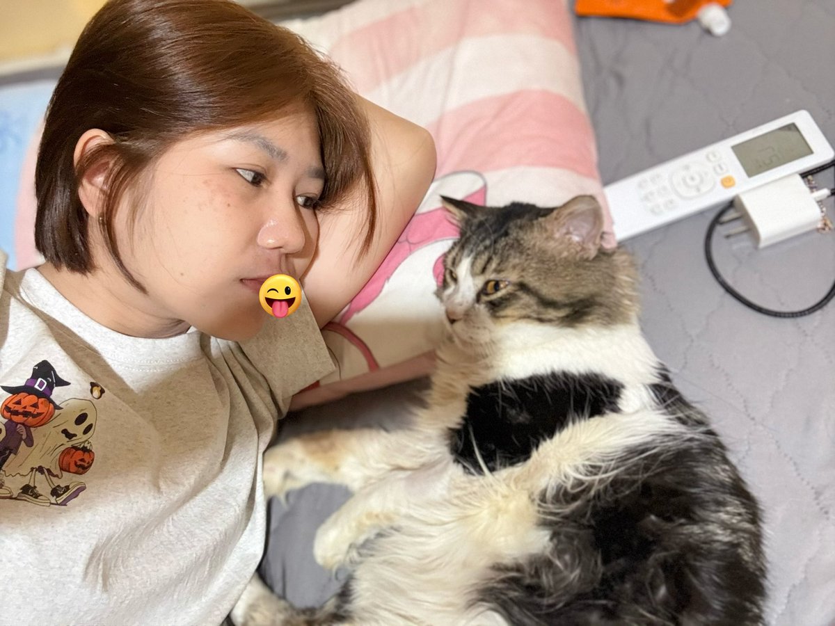 Nuea😻 tweet media