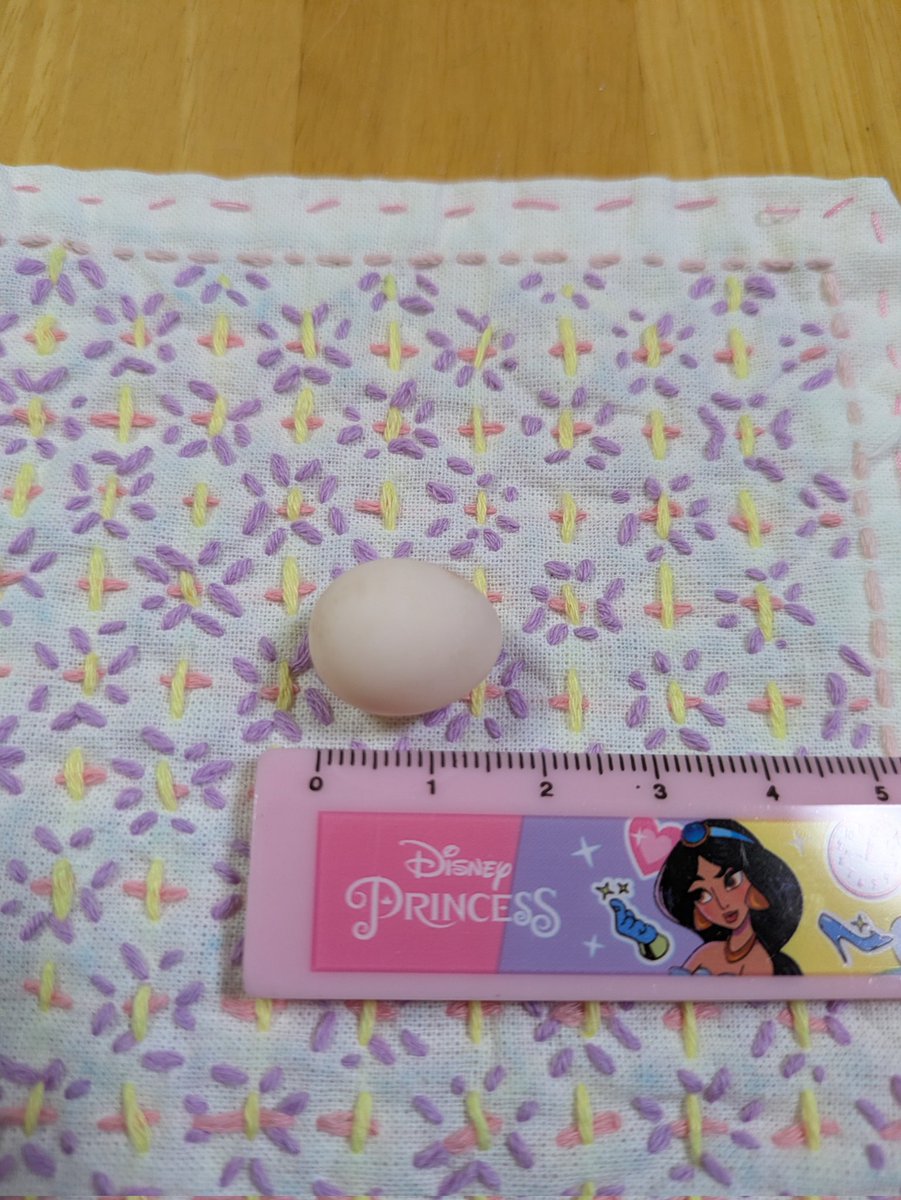 こんにちは☁
事件です❓❓❓

🐦️ぴーが私が着ている洋服の袖で卵を産みました。
🐦️ぴーは4才の女の子で１羽飼いです。
私は初めての事なのでびっくり ネット検索、珍しくないようで一安心。🐦️ぴーは卵には興味が無いようで元気に遊んでいます。可愛い綺麗な卵です😊