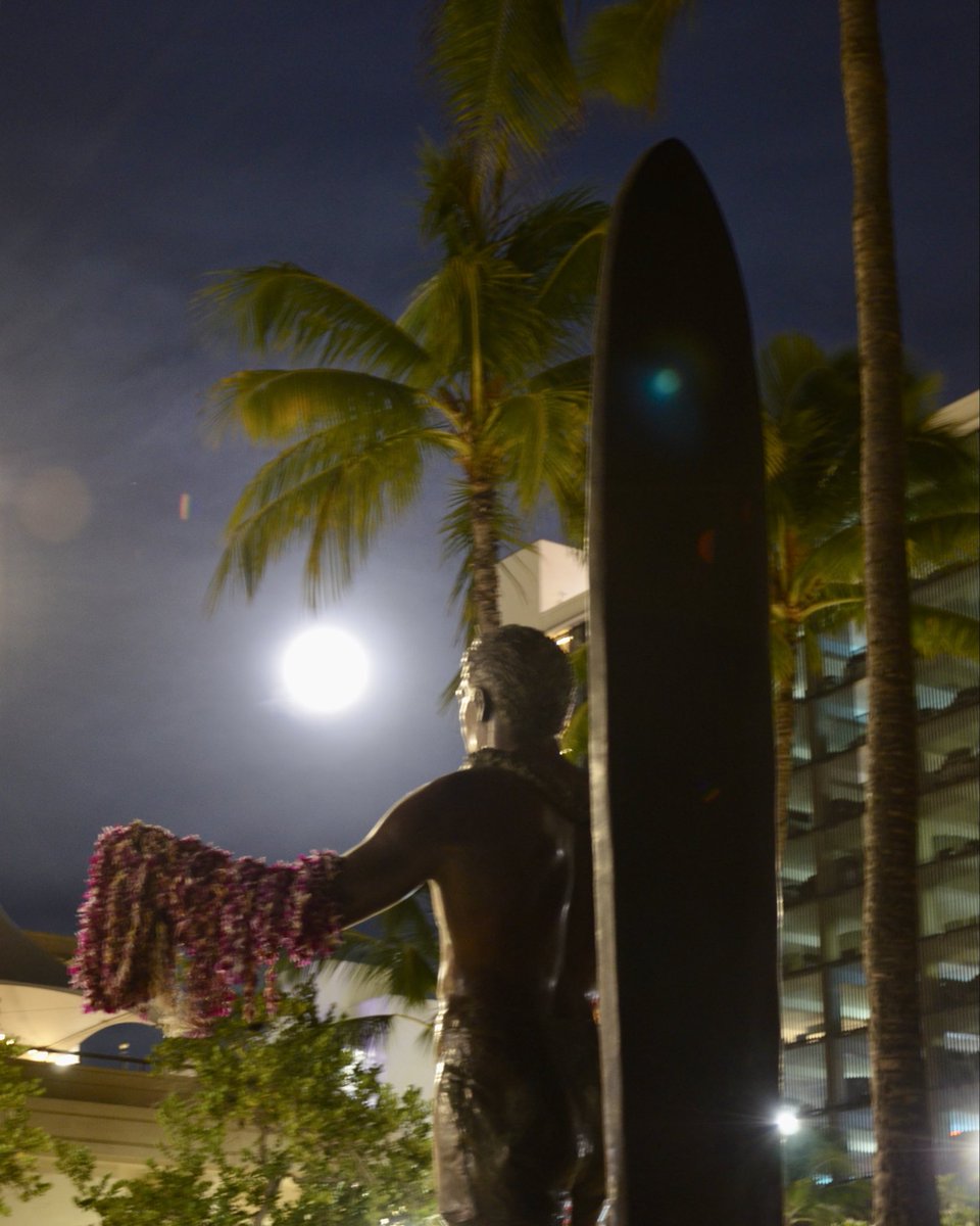 アロハセブン【公式】 on X