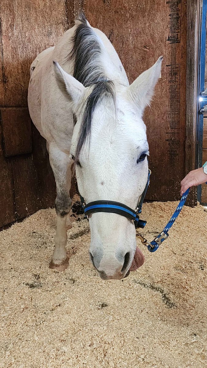 Kei (@Keihound) / Posts / X