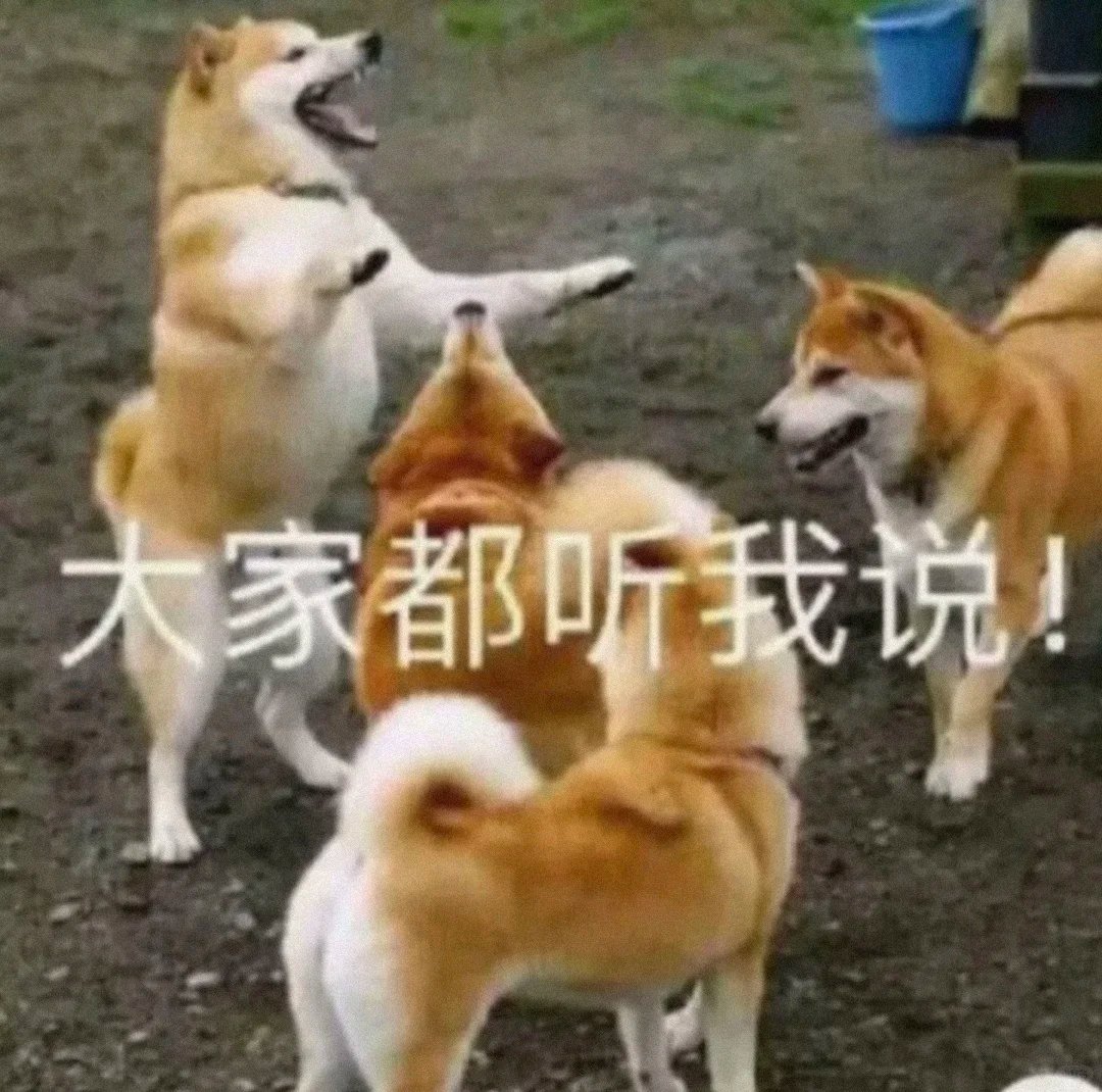 FunctionFu2858's tweet image. 都听我说，你们这帮傻狗！！！