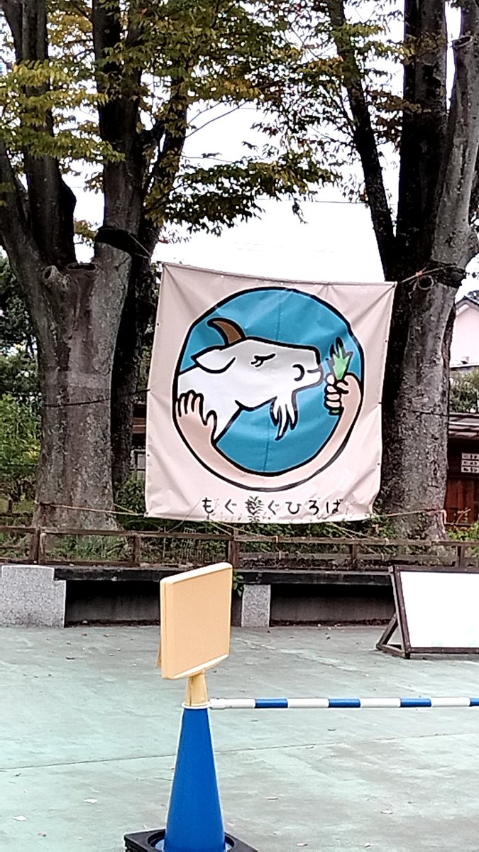 やっぴょん♡ページ ぴょん/🐨 (@227pyon) / Posts / X