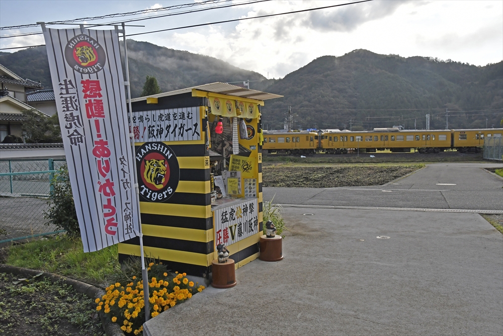 【どんやー@スムーズな取引を心掛けています】『タンゴエクスプローラー』 どんやー@スムーズな取引を心掛けています様 専用】『タンゴ