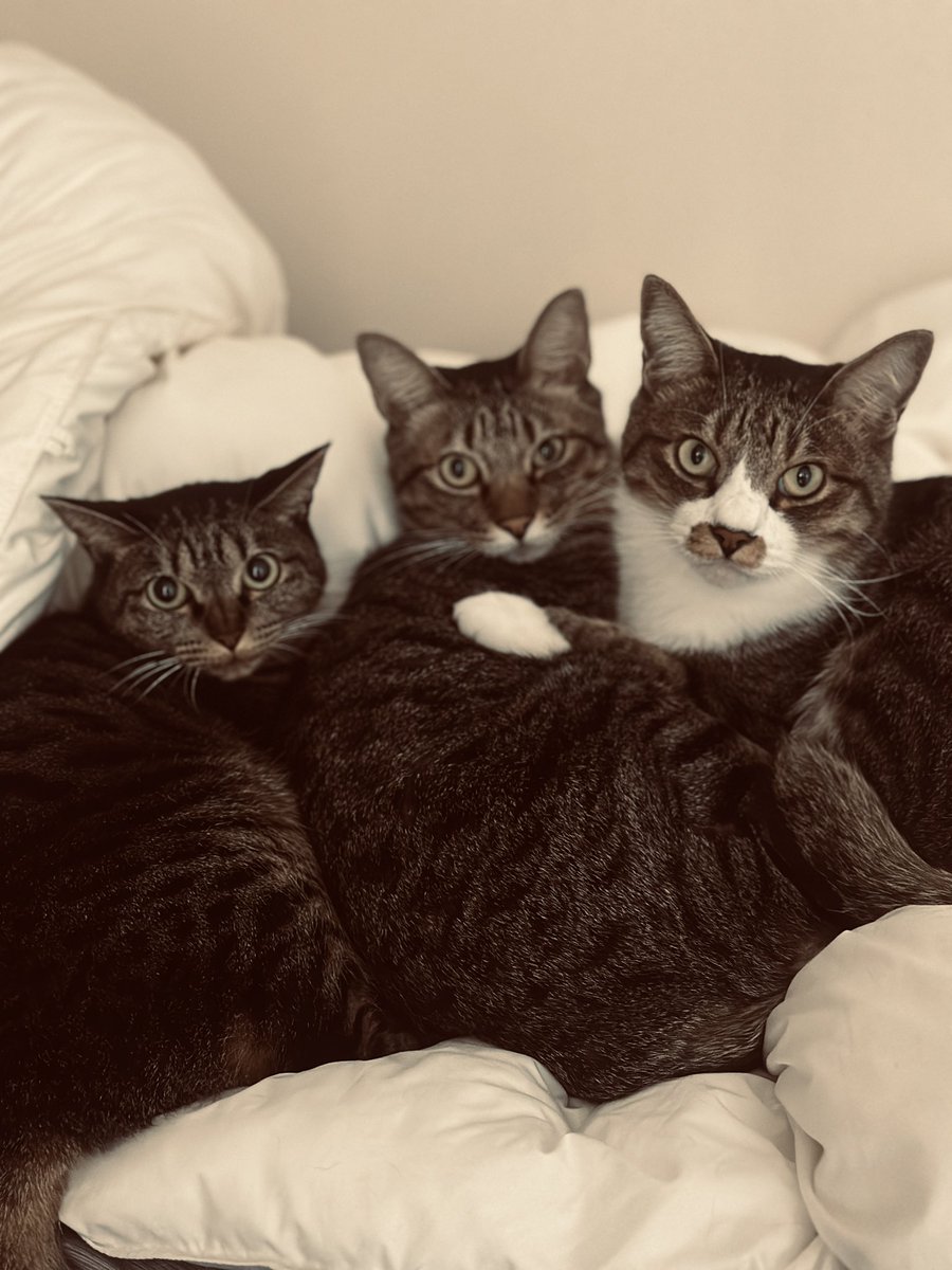 flumpool 小倉誠司 (@fp__seiji) / Posts / X