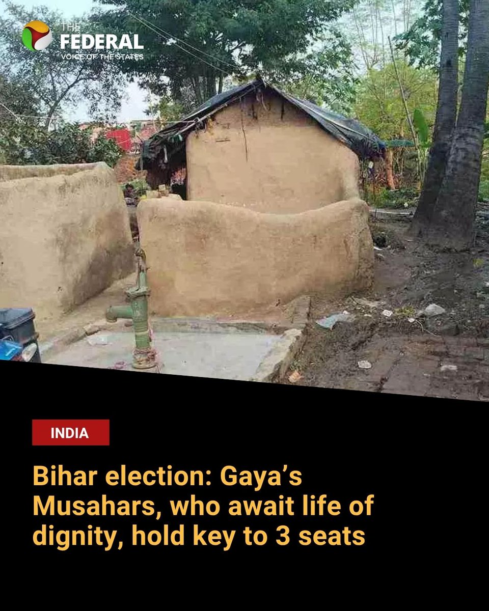 TheFederal_News's tweet photo. #GroundReport | The Musahars, Bihar’s poorest caste, still lack toilets and tap water; though they are upset with HAM, they say NDA schemes have brought relief, reports Ubeer Naqushbandi and Mohd Imran Khan.
Read more: https://t.co/PSbEofpyFt
#BiharElections #NDA #Musahars https://t.co/fkmwPnjOix