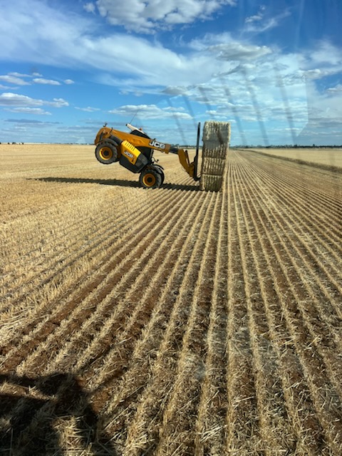 Legend has it, that they're still there, waiting to be saved...

We understand not everyone is keen to broadcast their mess-ups, but we want to offer everyone the chance to win a Crop Smart esky! If subtlety is more your style, send us an anonymous admission. Your secret is safe