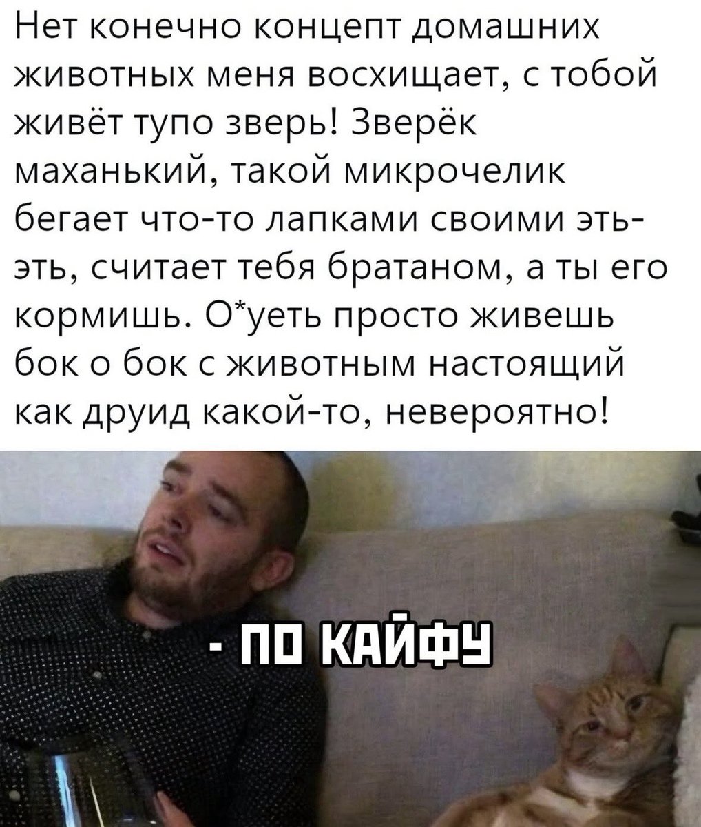 Мои мысли в любой рандомный момент