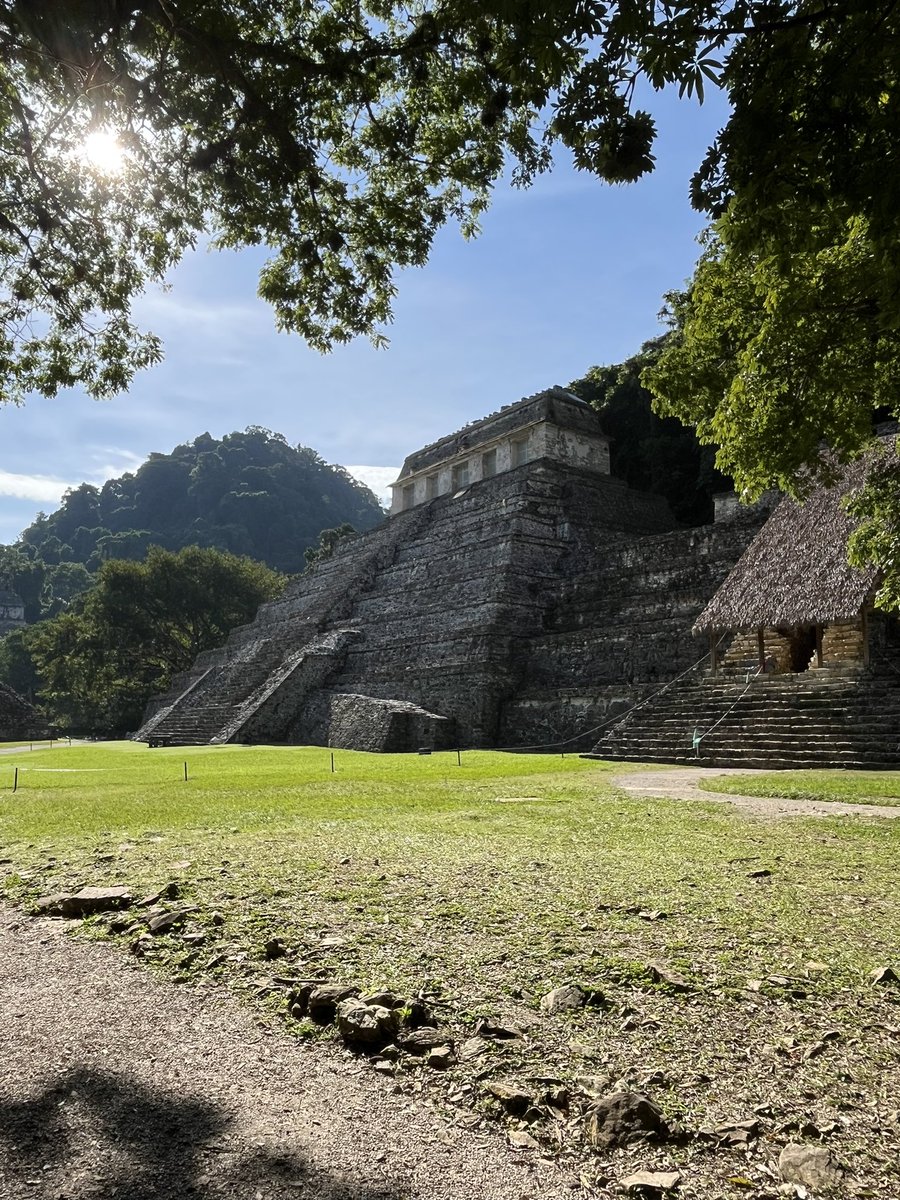 Leaving Palenque for Campeche in the Yucatan, stopped at the Mayan city jungle ruins, plenty of 🦟 ☀️🇲🇽 <a href="/coxandkingsUK/">Cox & Kings UK</a> <a href="/VisitMex/">Visit México</a> #Mexico