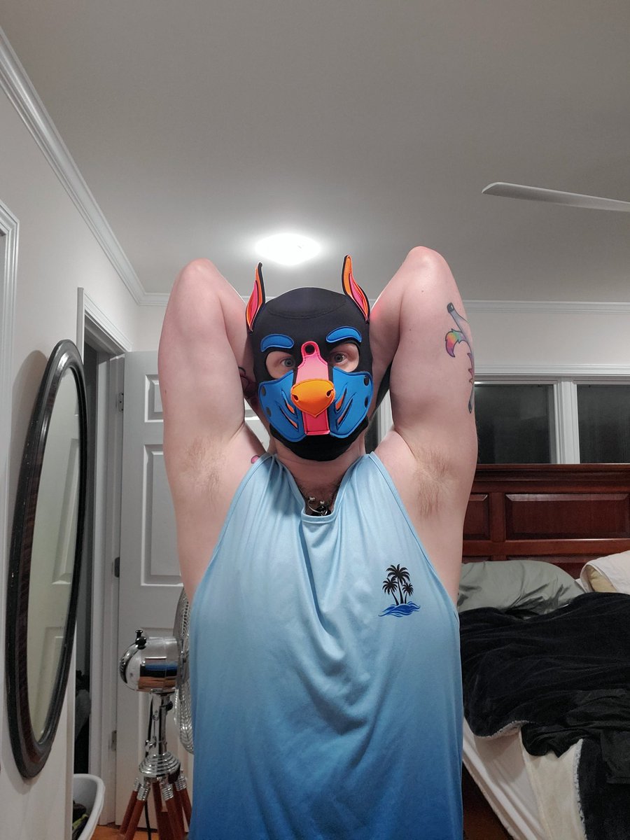 Pup Fel (Lucas) tweet media