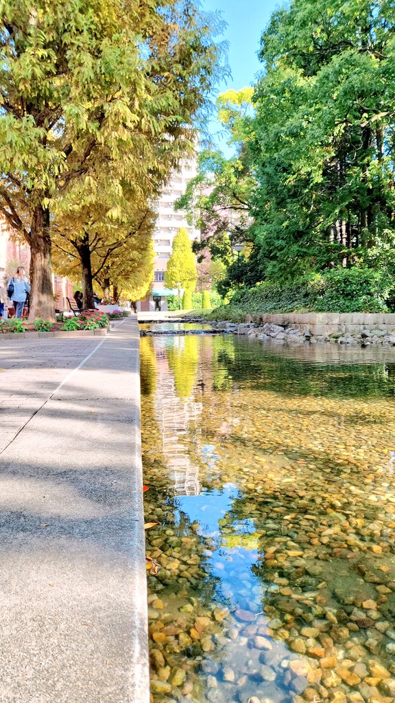 rom091738324's tweet photo. なんだか
幸せだ。

#ノリタケの森
#いい天気
#名古屋
#キリトリセカイ

#写真好きな人と繋がりたい
#일상
#산책
#어쩐지행복해 https://t.co/ua7b26LMZ9