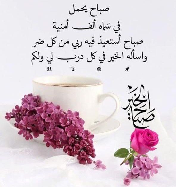 اللهـــــــم🕊️
 إنا نسألك نفسا مطمئنة تؤمن بلقائك وترضى بقضائك وتقنع بعطائك واجعل لنا من كل هم فرجا ومن كل ضيق مخرجا ومن كل بلاء عافية وان ترزقنا من حيث لانحتسب.
        #اللـــــــهم_امـــــــين

 #صـــــــباح_الـــــــخير