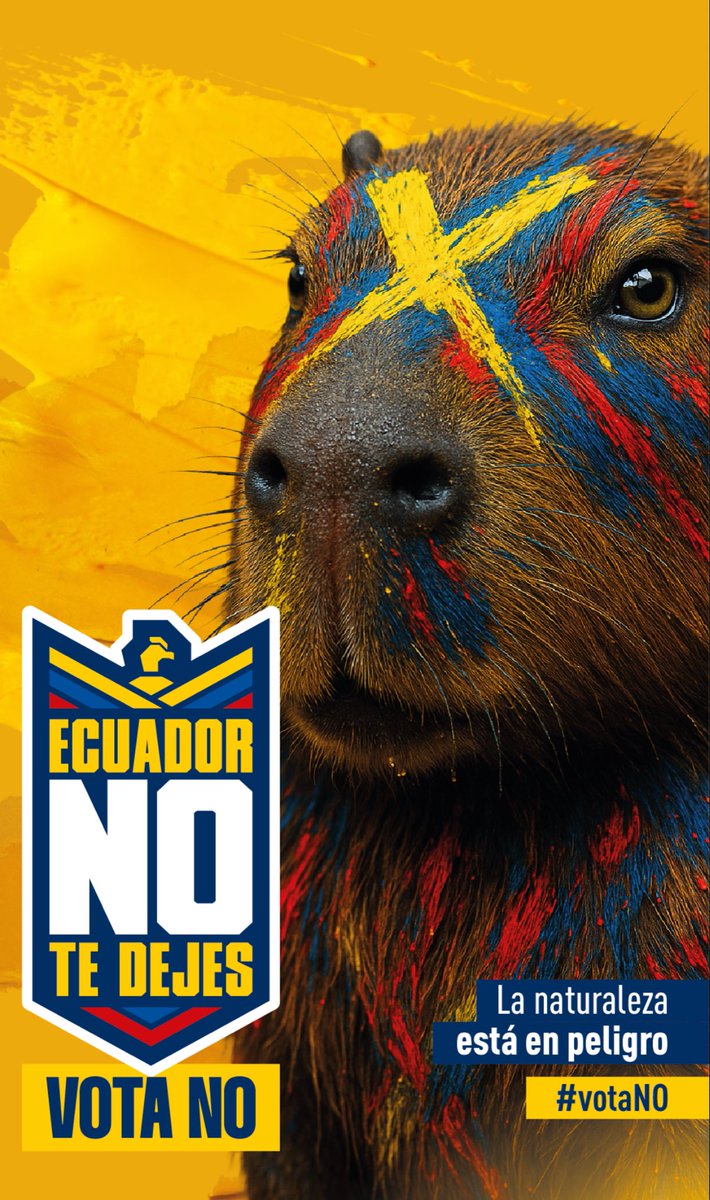 RODDNA Ec tweet media