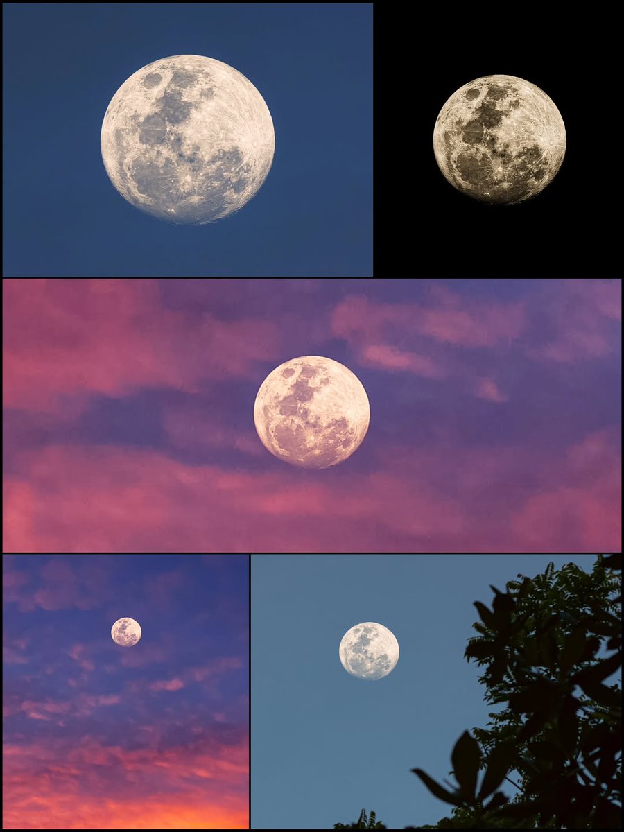 amante de la luna
