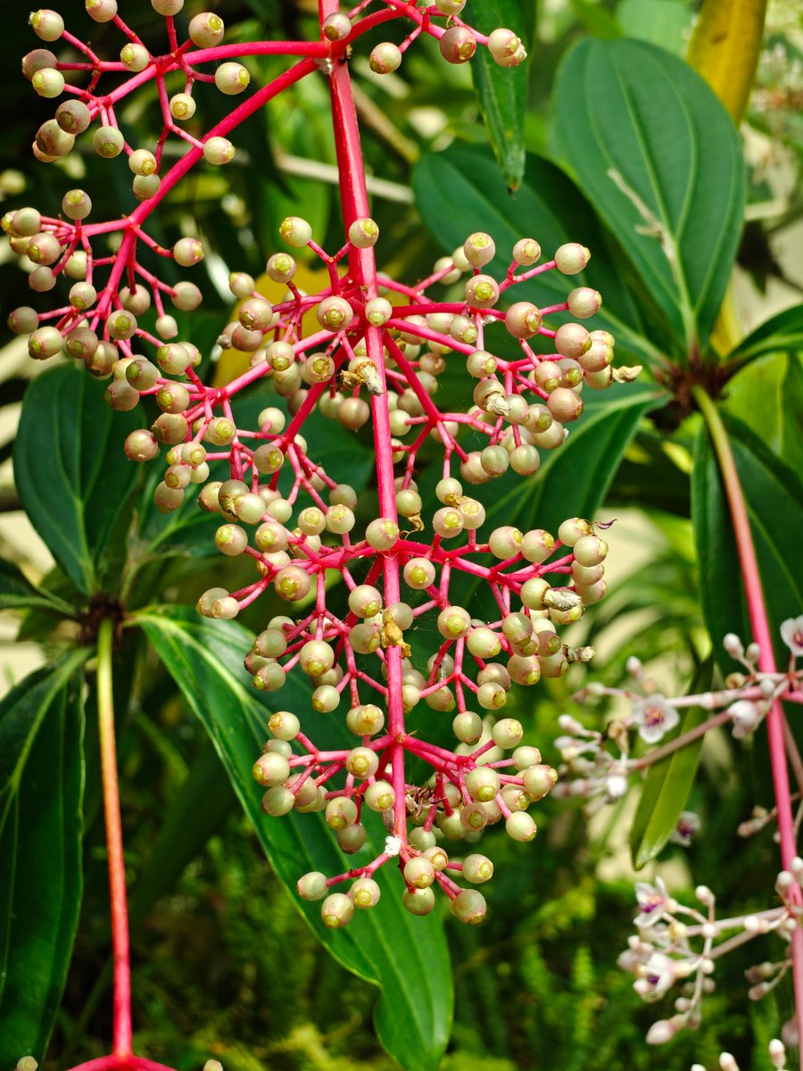 varunkrish's tweet image. Shot on the #OnePlus15 with the DetailMax Engine. What do you think of the photos? 
#ShotOnOnePlus #Singapore