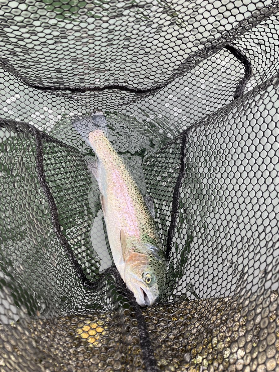 skygrayページです♪9月 bluebird on X