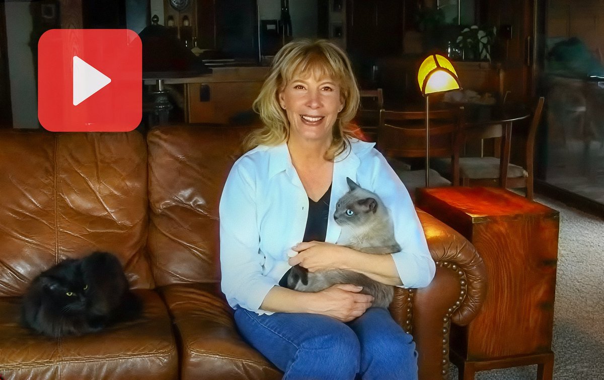 Soft Paws tweet media