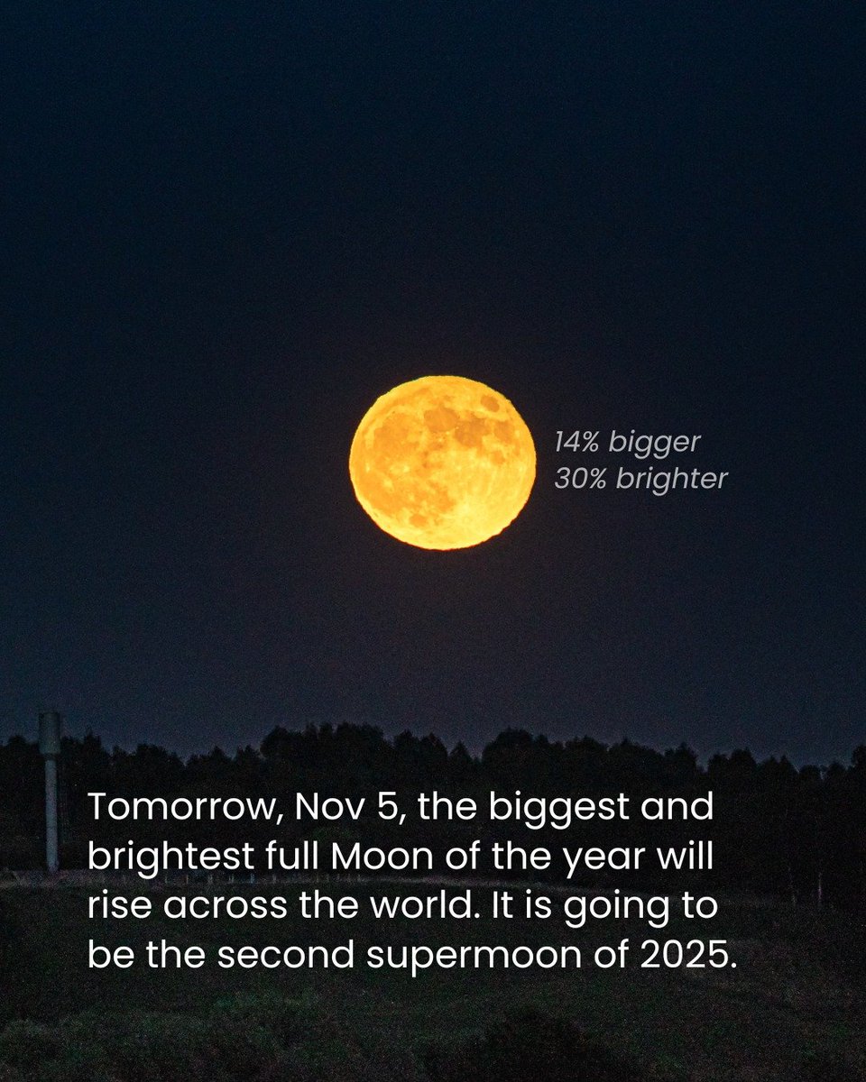 BREAKING🚨: On November 5, the Moon will reach its full phase right around perigee—its closest point to Earth.

That means it will be about 27,000 km (16,777 miles) closer than average, making it appear up to 8% larger and 16% brighter than a typical micromoon.