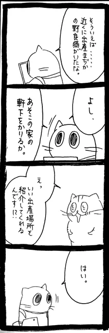 NNNの匠の技35 