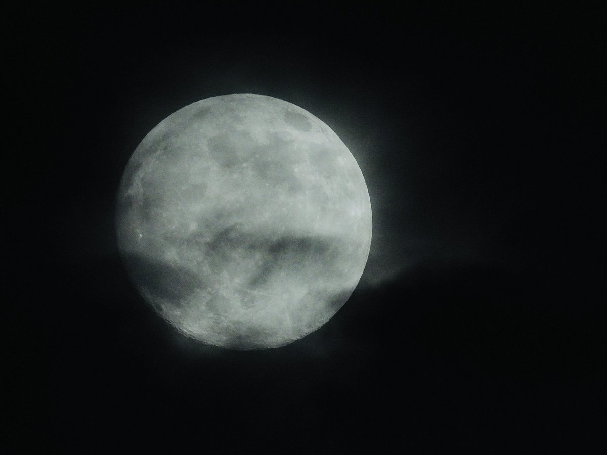 Poire 🍐 tweet media