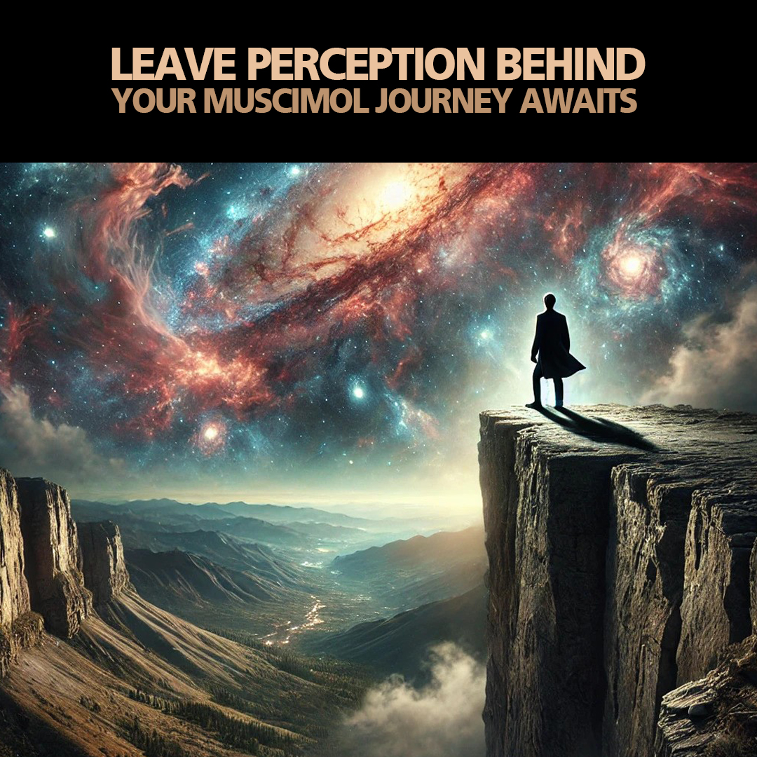 idoser's tweet photo. A vivid #RealityShifting experience. ✨ #Muscimol Escape is your gateway to an extraordinary mental journey where ordinary perception is left behind. Take a deep breath and click here https://t.co/Zn7E9JPnbB https://t.co/ceC6c3VuZy
