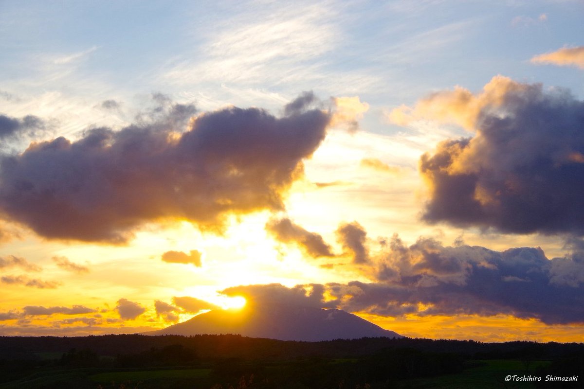 polaris_guides's tweet image. 【たくさんの群れをお見送り☺】

この秋は調査で何度も1,000～2,000羽の #ハクチョウ の群れを見送りました✨

そして、その度に #渡り鳥 たちの力強い姿に出会い、ダイナミックに移り変わる空の色や雲の形、壮大な光のショーを見ることができました🍀

#北海道 #豊富町 #利尻山 #コハクチョウ