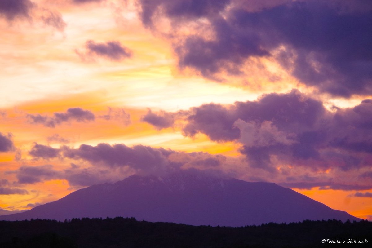 polaris_guides's tweet image. 【たくさんの群れをお見送り☺】

この秋は調査で何度も1,000～2,000羽の #ハクチョウ の群れを見送りました✨

そして、その度に #渡り鳥 たちの力強い姿に出会い、ダイナミックに移り変わる空の色や雲の形、壮大な光のショーを見ることができました🍀

#北海道 #豊富町 #利尻山 #コハクチョウ