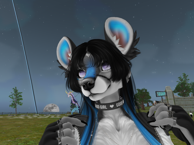 KatskiFA's tweet photo. did a fox head add-on https://t.co/U7B644A4UW