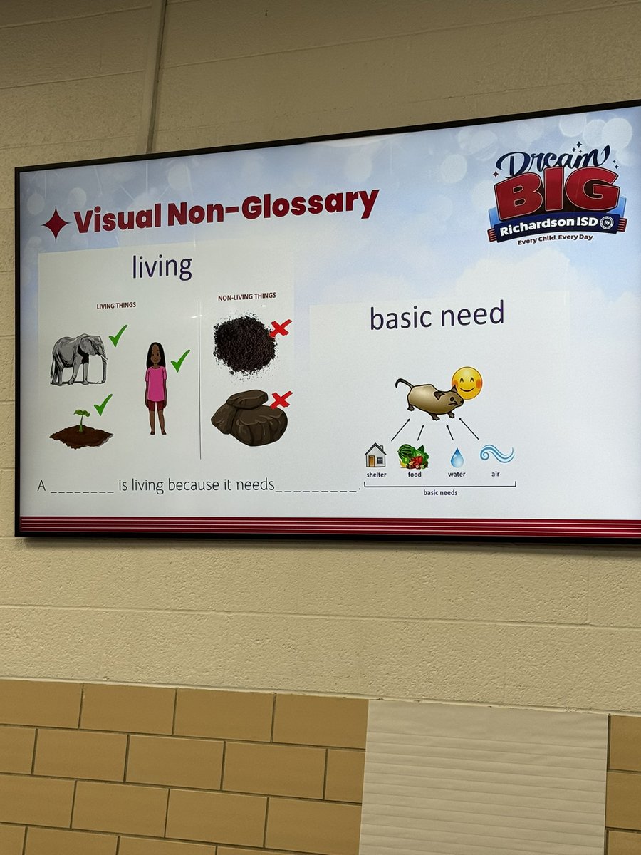 katyphinney's tweet image. Huge shout out to the @RISDMET for pouring into our #RISDprek teachers today.  Strategies for our EBs are good for all!!! #RISDdreambig #RISDtnl #RISDecs