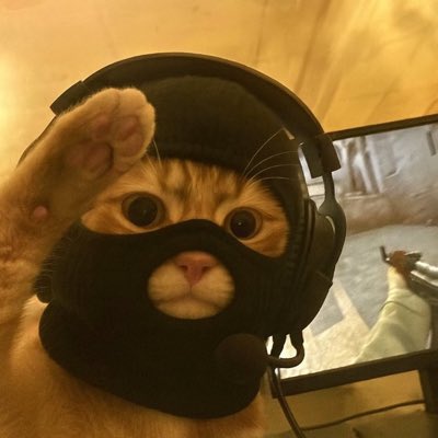 Ishaq Tijjani Usman tweet media