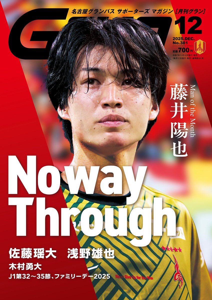 グランパス オフィシャルサポーターズマガジン月刊グラン 2001年12冊セット グランパス オフィシャルサポーターズマガジン月刊グラン 2001年12冊