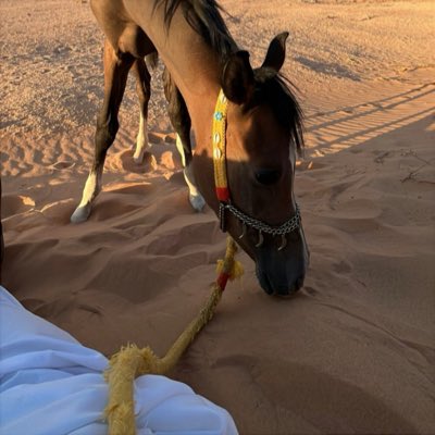 rxonz's tweet image. #صورة_جديدة_للملف_الشخصي