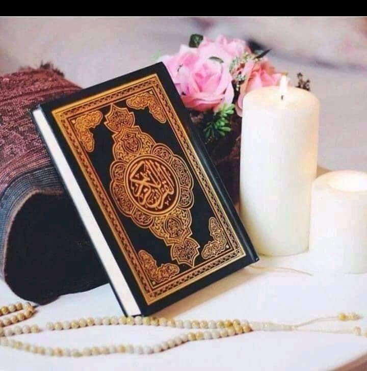 🍀السلام علیکم ورحمتہ اللہ وبرکاتہ🍀

جسمانی تھکن کا علاج نماز میں پوشیدہ ہے
اور
روحانی تھکن کا علاج قرآن سے کیا کرو۔۔
دنیا و آخرت دونوں سنور جائیں گی۔۔!!!

از قلم ۔۔ح ن ا
#محبت_مافیا