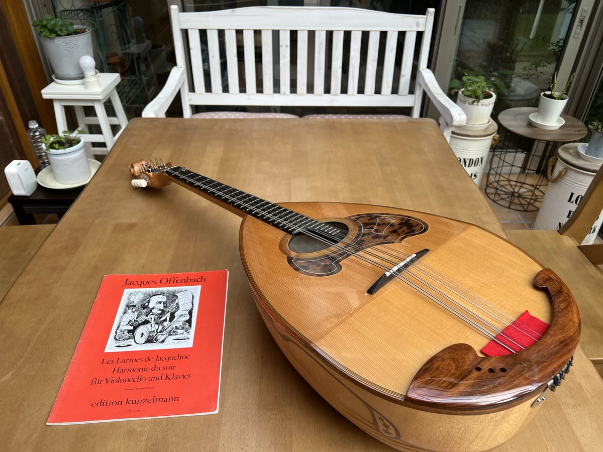 Cello_ClaA tweet media