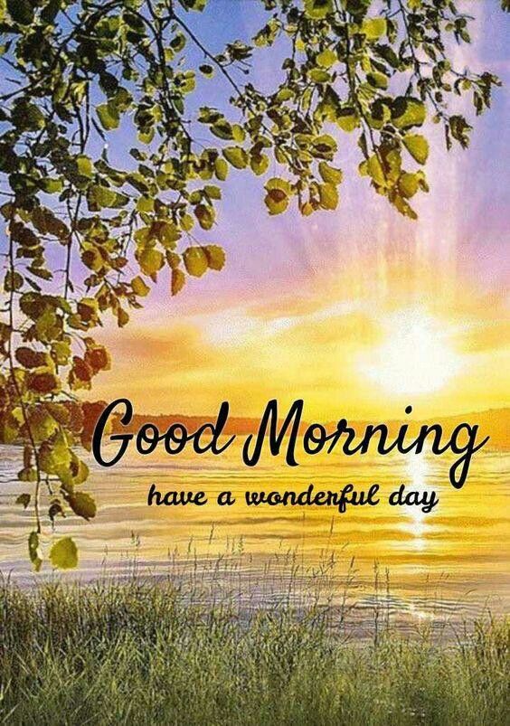 🌞 सुप्रभात साथियों 🌞 
 🏡 गाँव की गलियो कोलाहल है बच्चो के खेलने की, क्यों कि आज मै देर जगा हूँ 
आज सुबह मुझे ऐसे लग रहा है 
जैसे आज सूरज ने हल्दी लगाई है,  
और किरणें जैसे दुल्हन की चुनरी बनकर  
धरती को आशीर्वाद दे रही हैं।.....