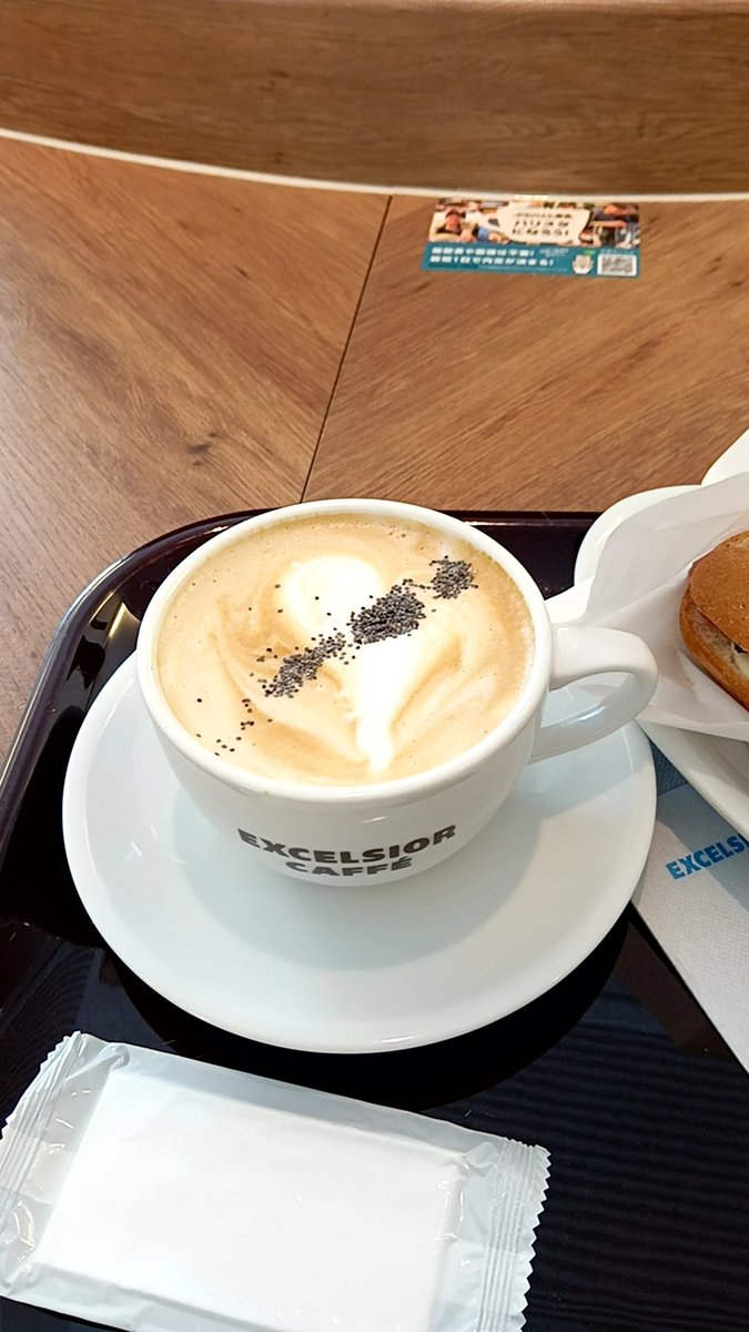 クーシャンクーさま専用】カフェボウル クーシャンクーさま専用