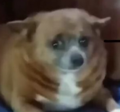 WizardCorgi's tweet image. my joke post didn&apos;t censor, so the joke could land. Its so over