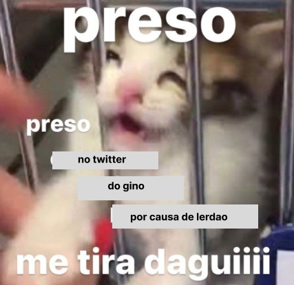 Thaylorismo.eth tweet media