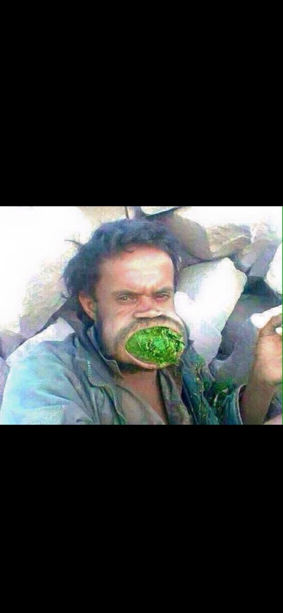 v68ki's tweet photo. @aboghamdaan7777 @eafaf_2 كيف الرعي معك اليوم؟ https://t.co/akq2ipCEJS
