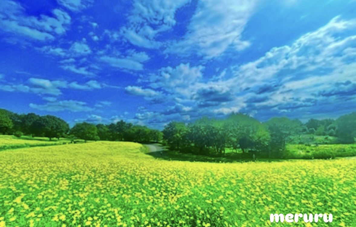 ゆめみ めるる🐇🎀 Xｷｬﾗ投票☝️ on X