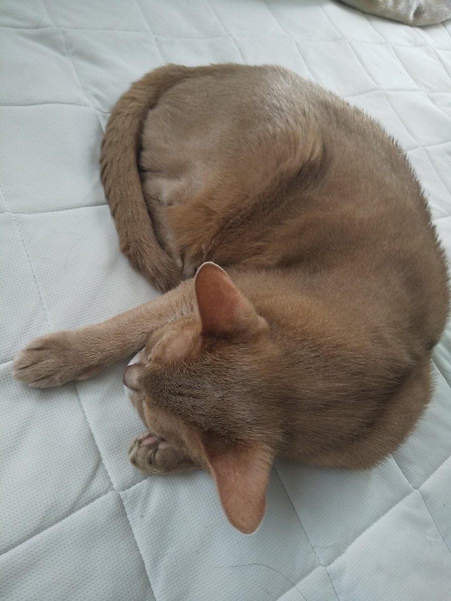 振り向けば、爆睡