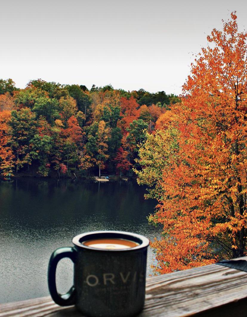 تحترف صباحات نوفمبر في النبش بأعماق الروح، وتبعث فيها ذكرياتٍ مدفونة، كنا نخبئها بعناية بين طيات الأيام ونعتقد انها رحلت مع النسيان ♥️
صباح الورد والياسمين 🌹🤍