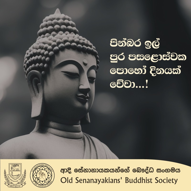 DSBuddhists's tweet photo. ඉල් පුර පසළොස්වක පොහොය අදට යෙදී තිබේ.

බුදුරජාණන් වහන්සේගේ අනුශාසනා පරිදි රහතන් වහන්සේ සැට නමක්, ලෝ සතුන්ගේ හිත සුව පිණිස, ධර්ම ප්‍රචාරයේ යෙදුණු ඉල් පුර පසලොස්වක පොහෝ දිනය අදට යෙදී තිබෙනවා.

ඔබ සැමට තෙරුවන් සරණයි!
ආදි සේනානායකයන්ගේ බෞද්ධ සංගමය
ඩී. එස්. සේනානායක විද්‍යාලය - කොළඹ07 https://t.co/Eu1PbTVJk8
